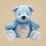 Teddy Boy (20cm) +10,00&euro;