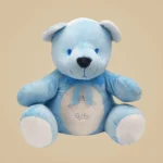 Teddy Boy (20cm) +10,00€