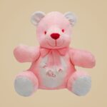 Teddy Girl (20cm) +10,00&euro;