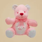 Teddy Girl (20cm) +10,00€