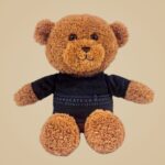 Teddy +10,00&euro;
