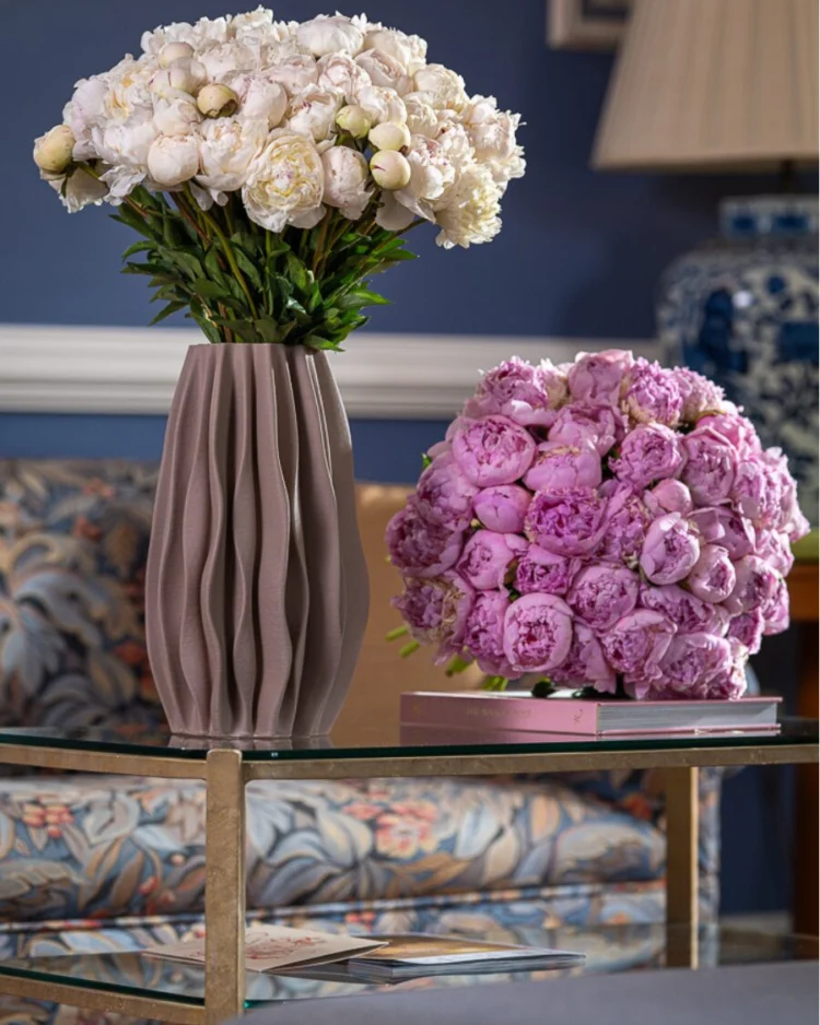 Peony Élite 15