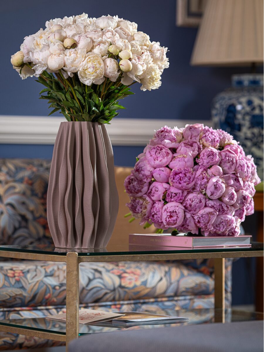 Peony Élite 15