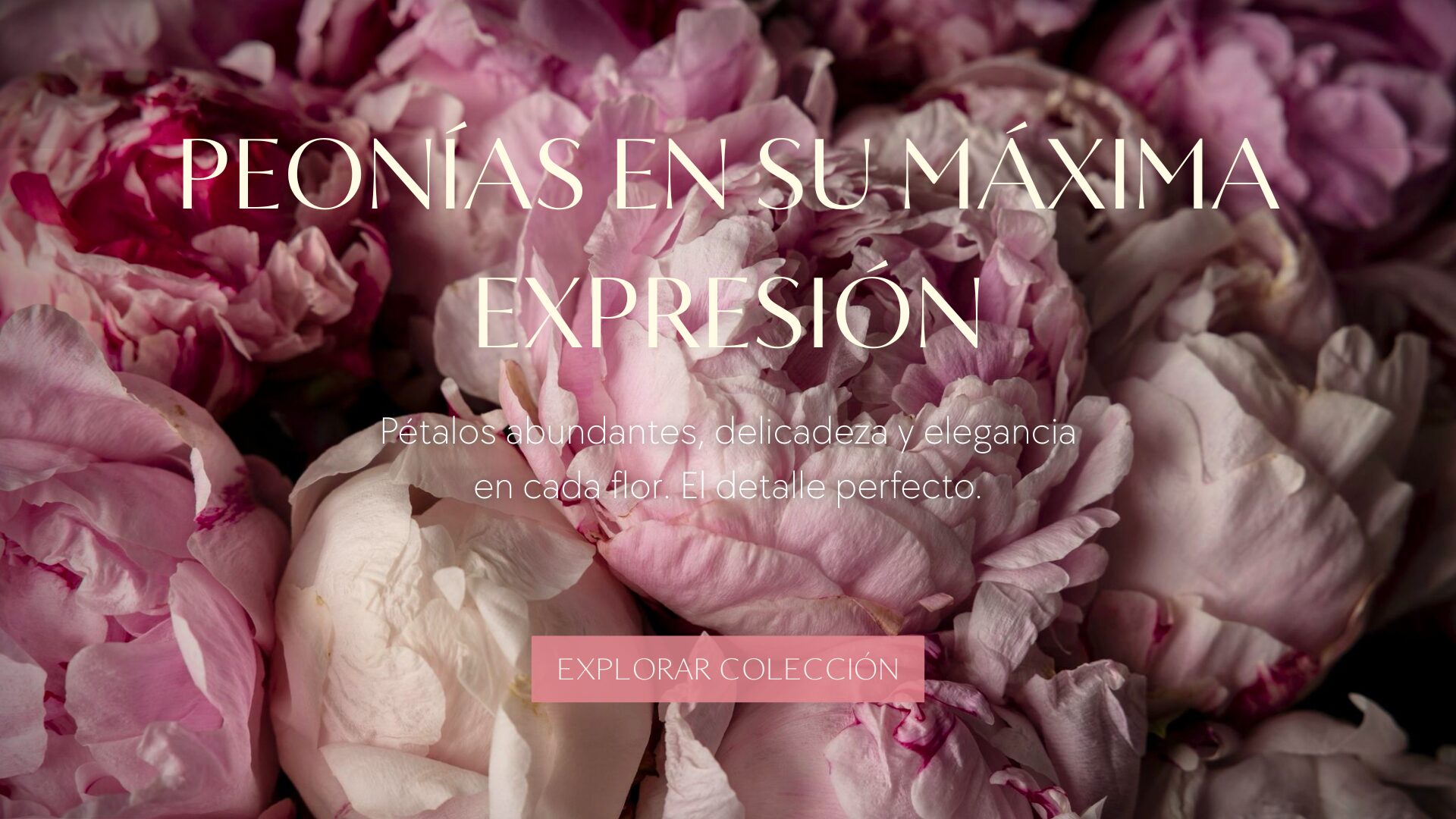 Banners Home desde Agosto (38)