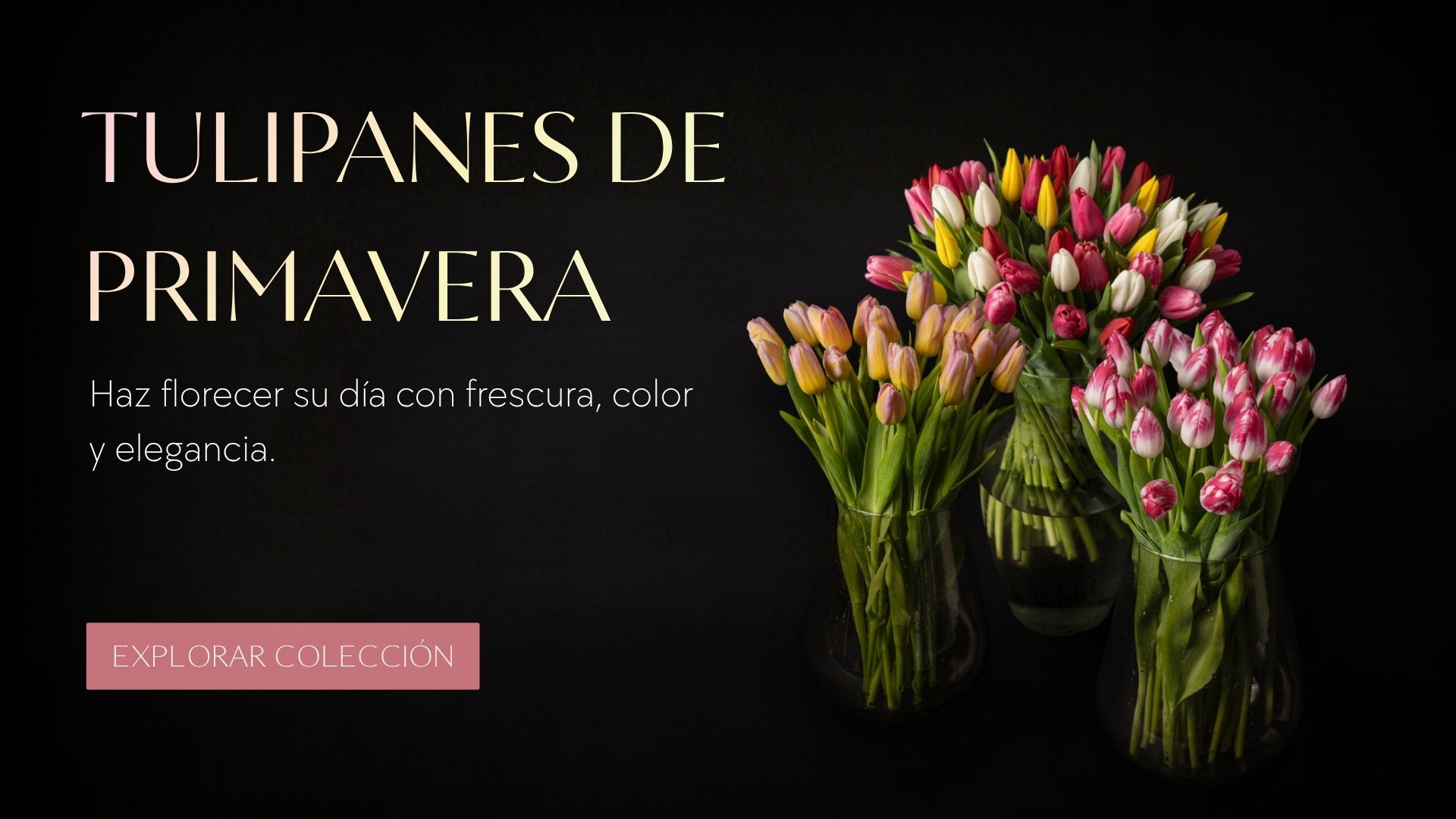 Banners Home desde Agosto