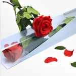 Eternal red rose +€20,00