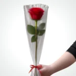 Fresh red rose stem +6,00€