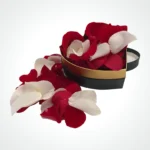 Petals +15,00€
