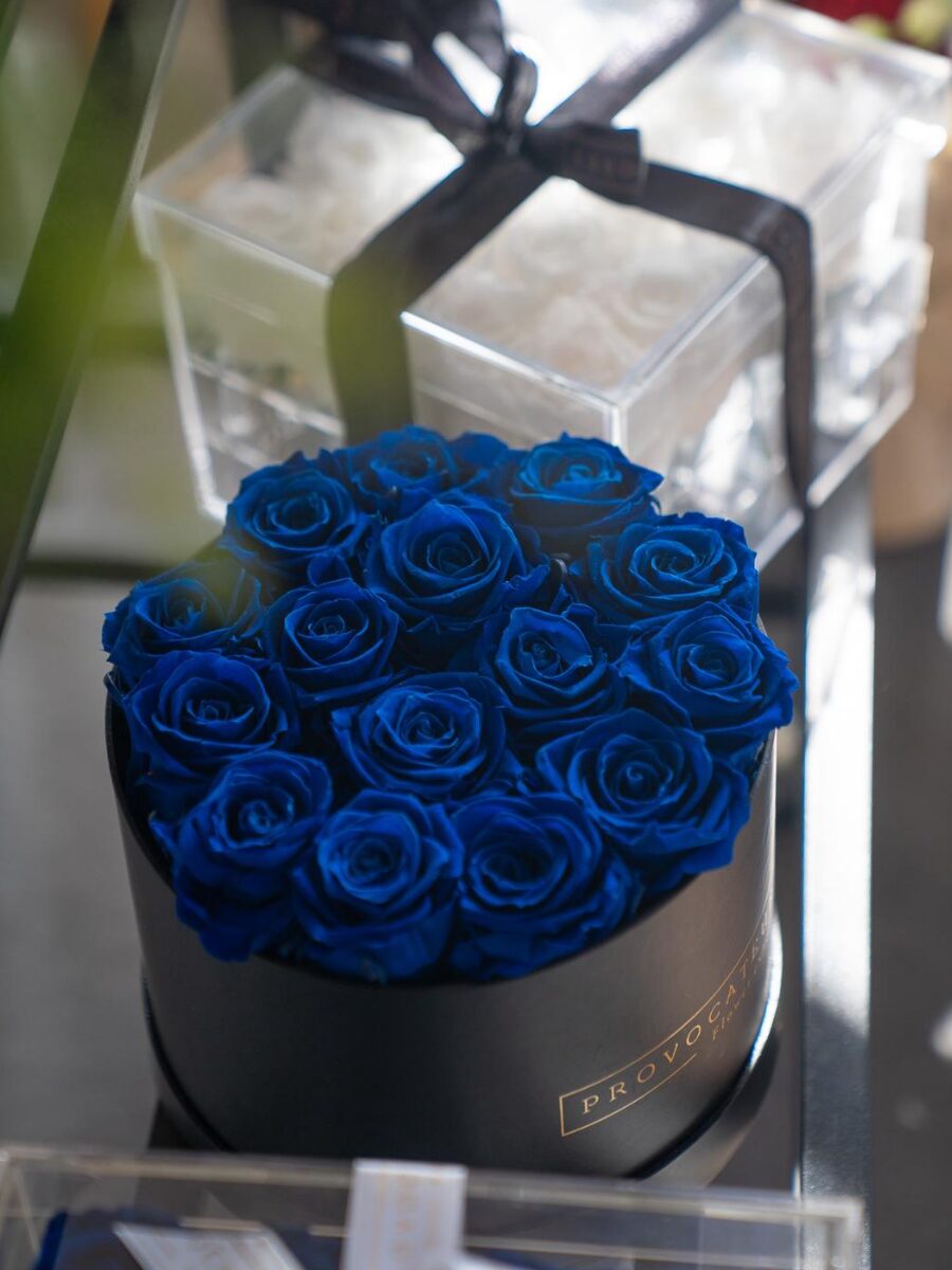 Equestrian Box - Imagen 4