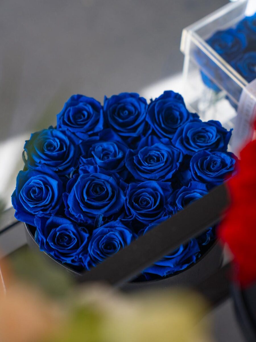 Equestrian Box - Imagen 5