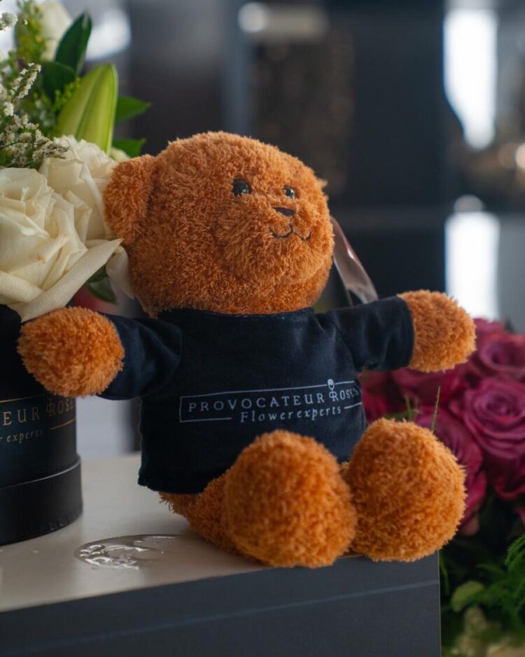 Provocateur Teddy