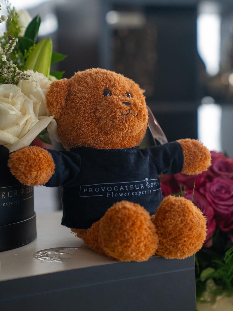 Provocateur Teddy