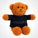 Teddy Provocateur +15,00&euro;