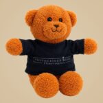 Teddy +15,00&euro;