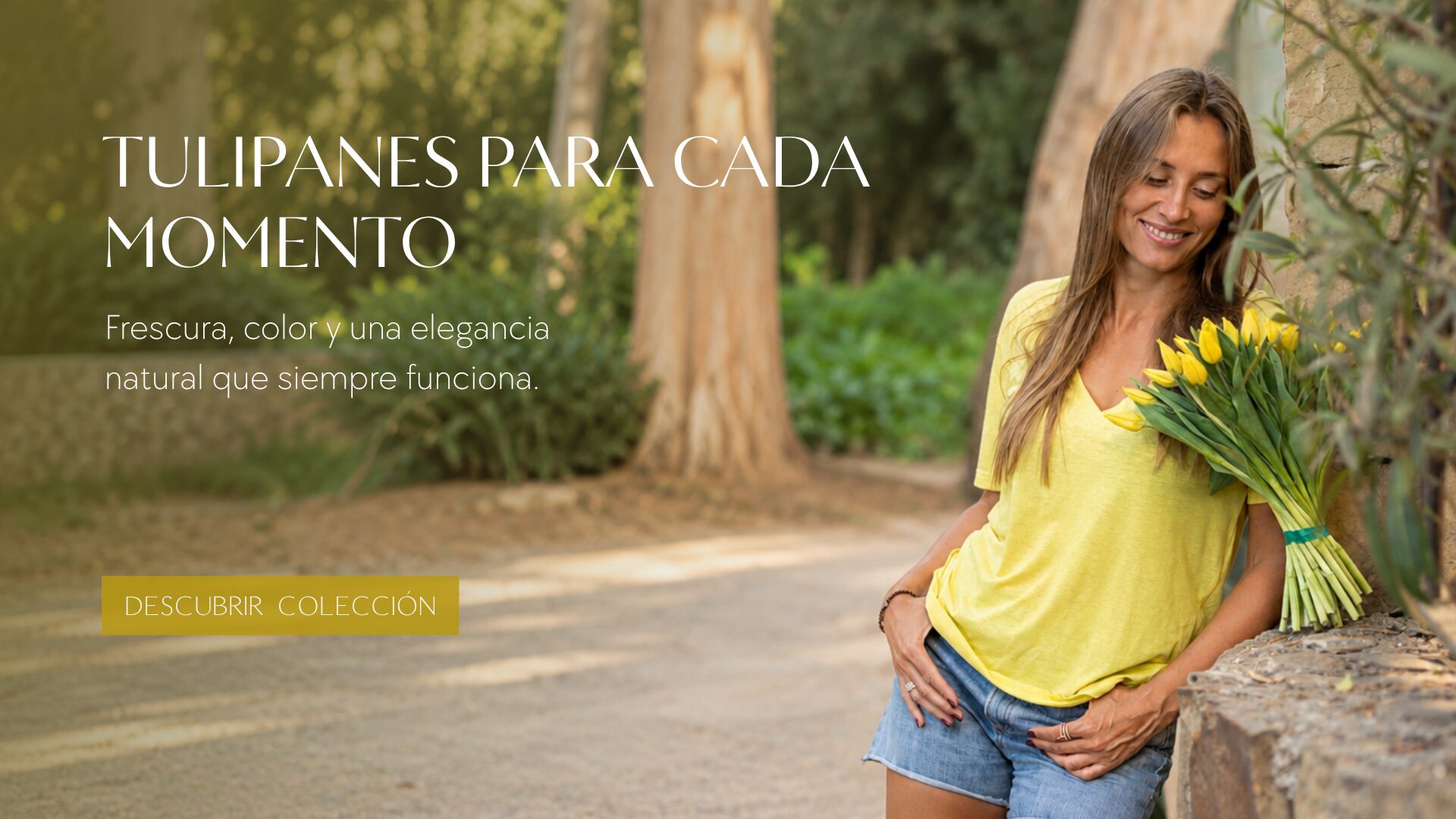 Banners Home desde Agosto (50)