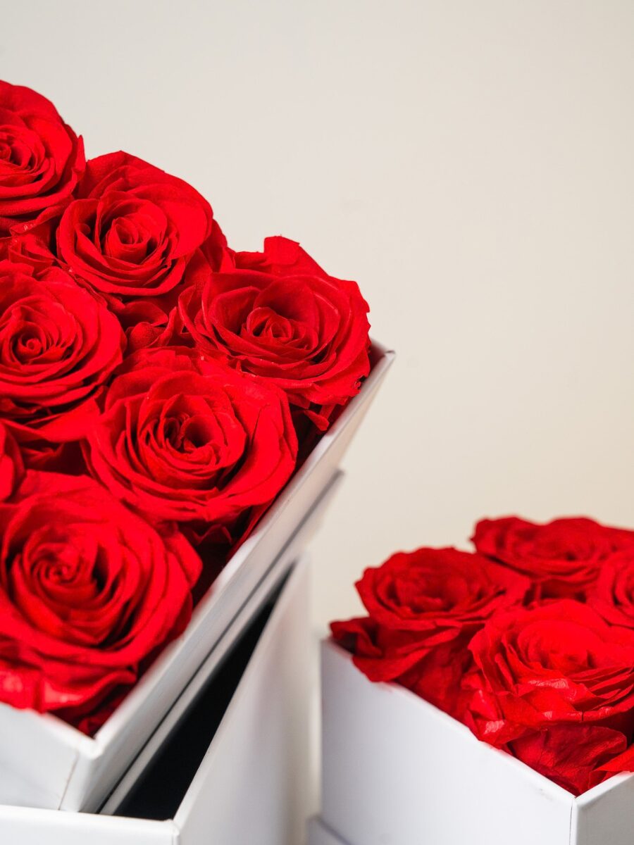 Rouge Amor Box - Imagen 3