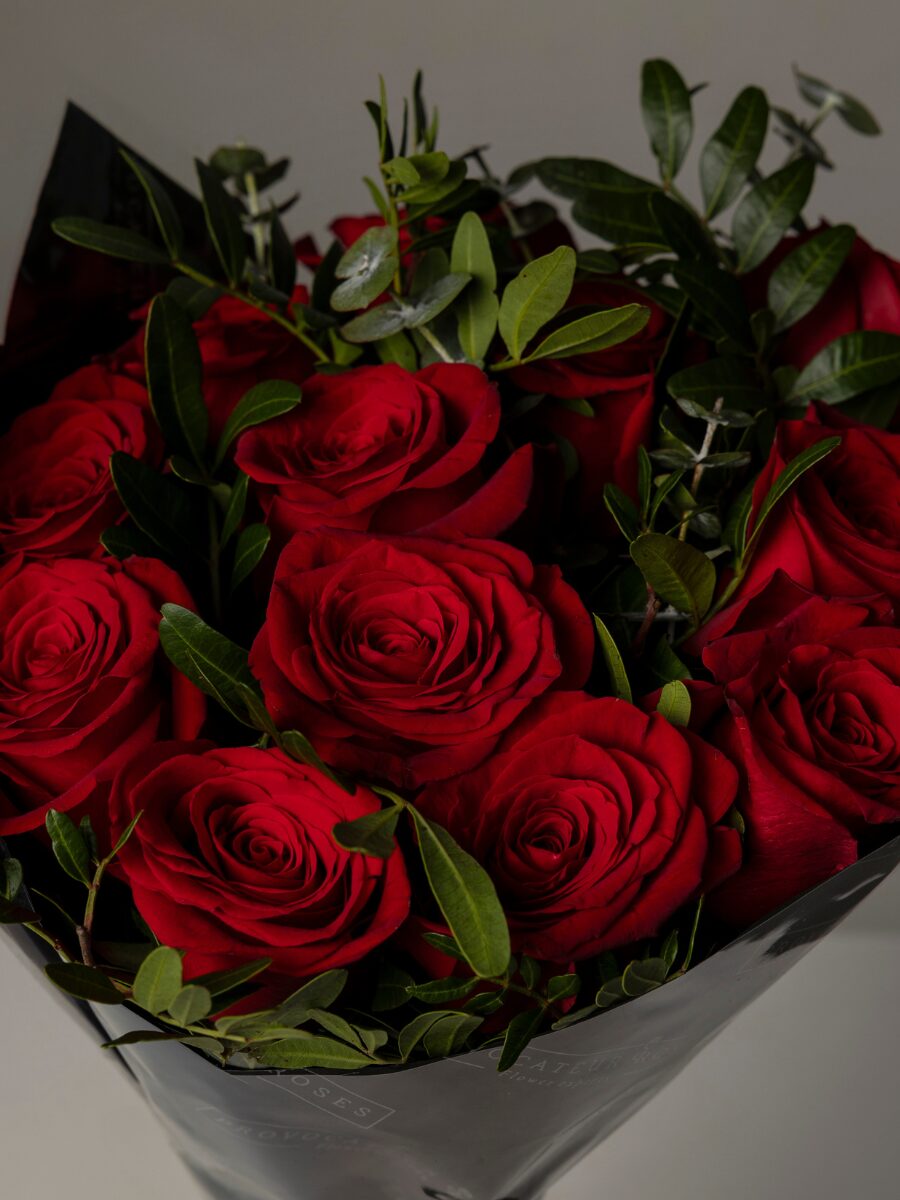 12 Rosas Explorer con Verdes Variados - Imagen 2