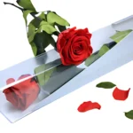 Eternal red rose +€20,00