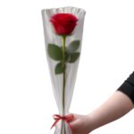 Tallo de rosa roja fresca +6,00&euro;