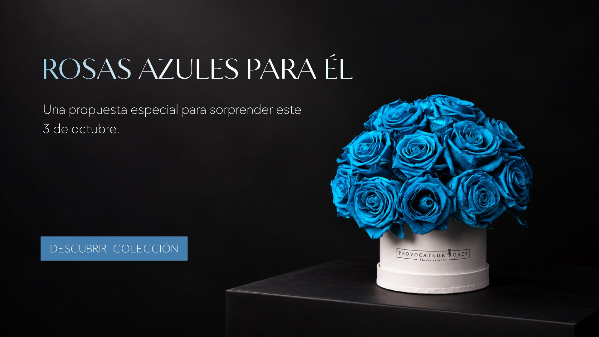 Rosas para él