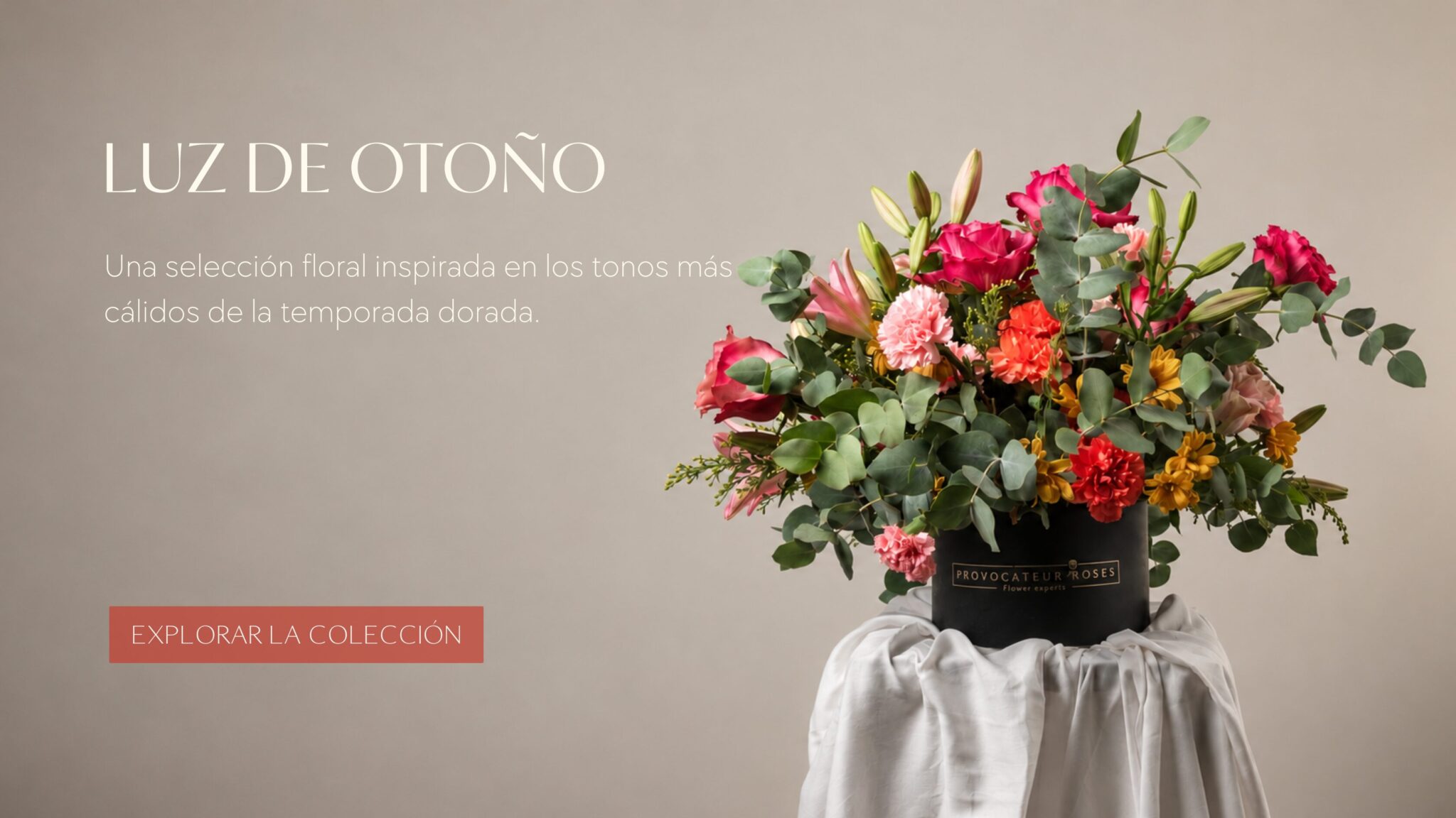 Colección de Otoño